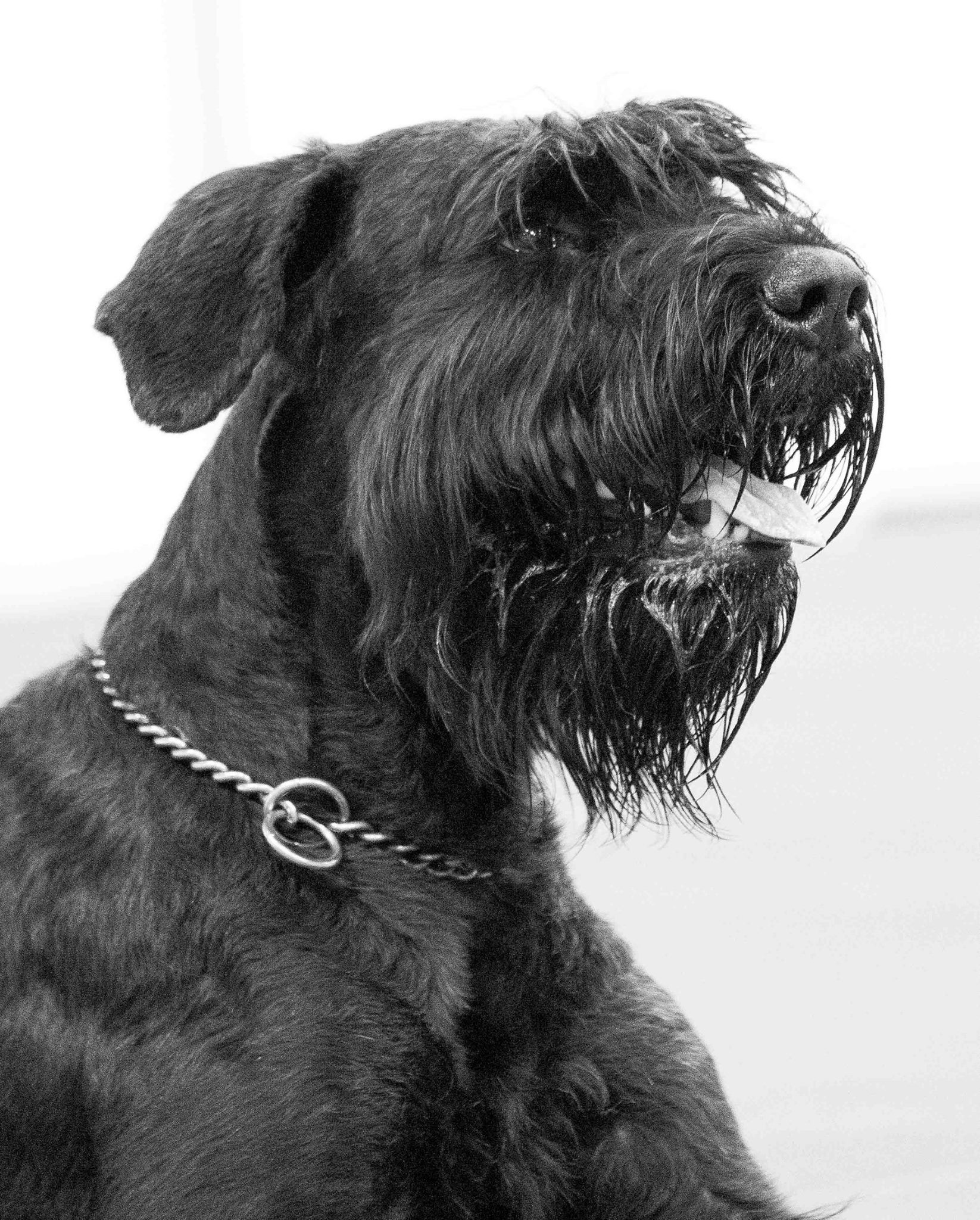 luxus